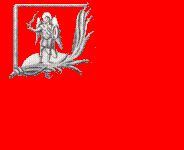знамя киевского полка