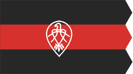 флаг балтийской экспедиции