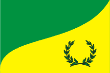 флаг Донского