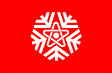 флаг снежинска